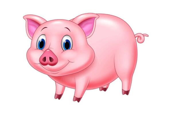 屬豬人2022年事業(yè)運勢詳解