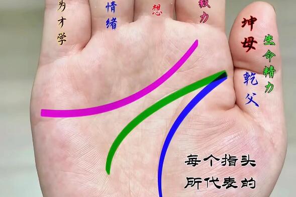 風(fēng)水大師分享財(cái)運(yùn)亨通的手相特征