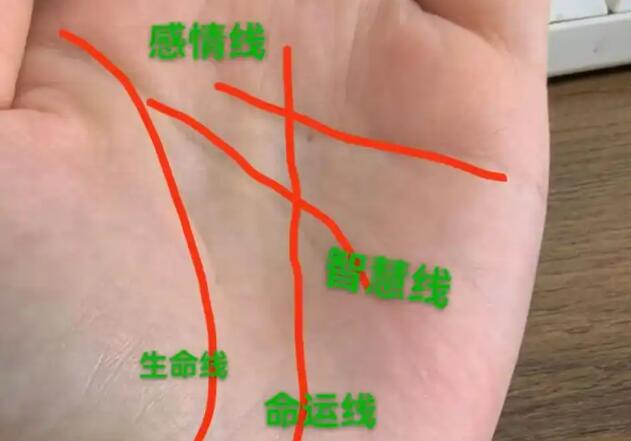 風水大師分享手相解讀